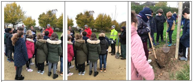 Plantation d’arbres en CM1